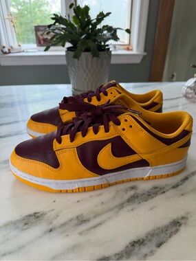 Nike dunks mens